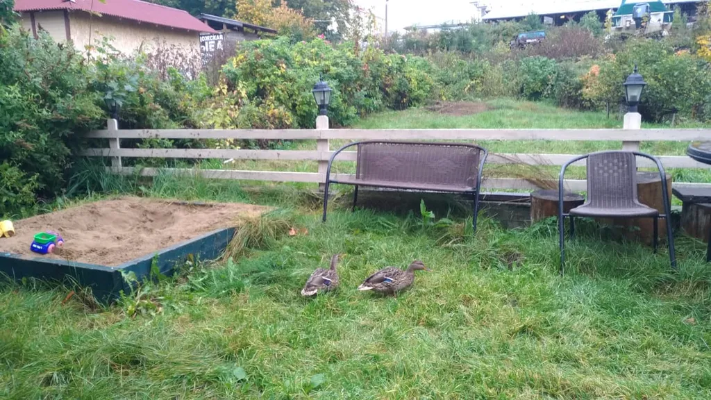 Таунхаус с сауной в центре у набережной