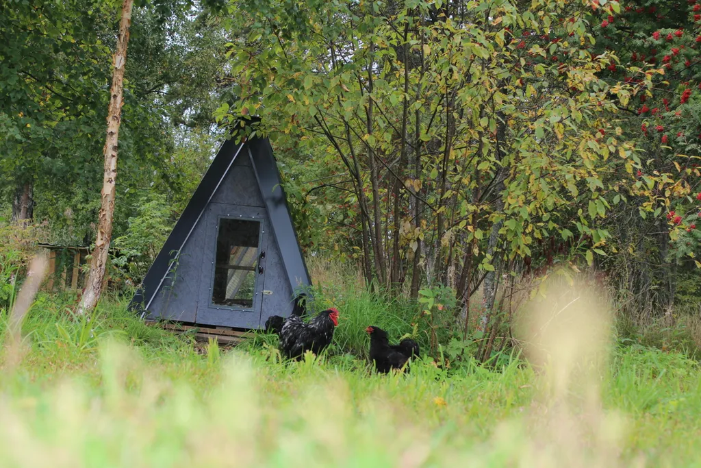 Коттедж Тёплый коттедж с баней на очень большой уединённой территории — Кротово