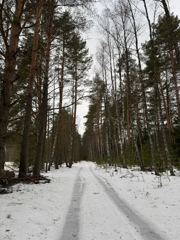 Коттедж Дом на берегу реки, в окружении леса с баней и чаном — Старово
