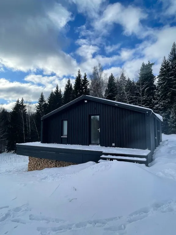 Сканди Domingo Dacha