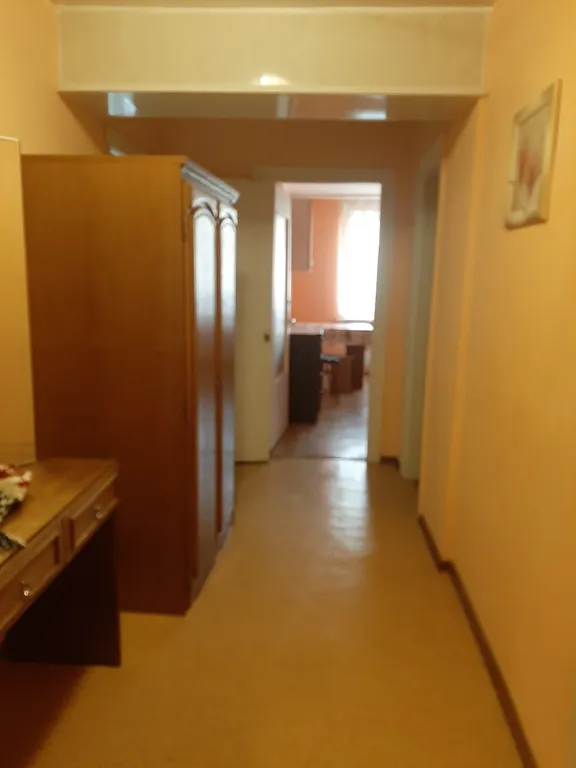 Квартира в центре города у Нижнего пруда - исторический центр