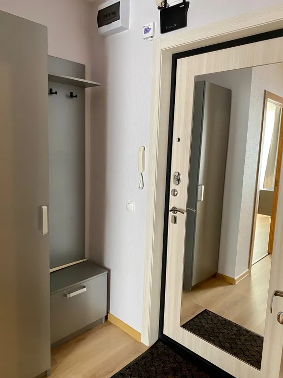 Квартира Просторная квартира в 5 мин от НИИ Петрова/Гранова — Песочный