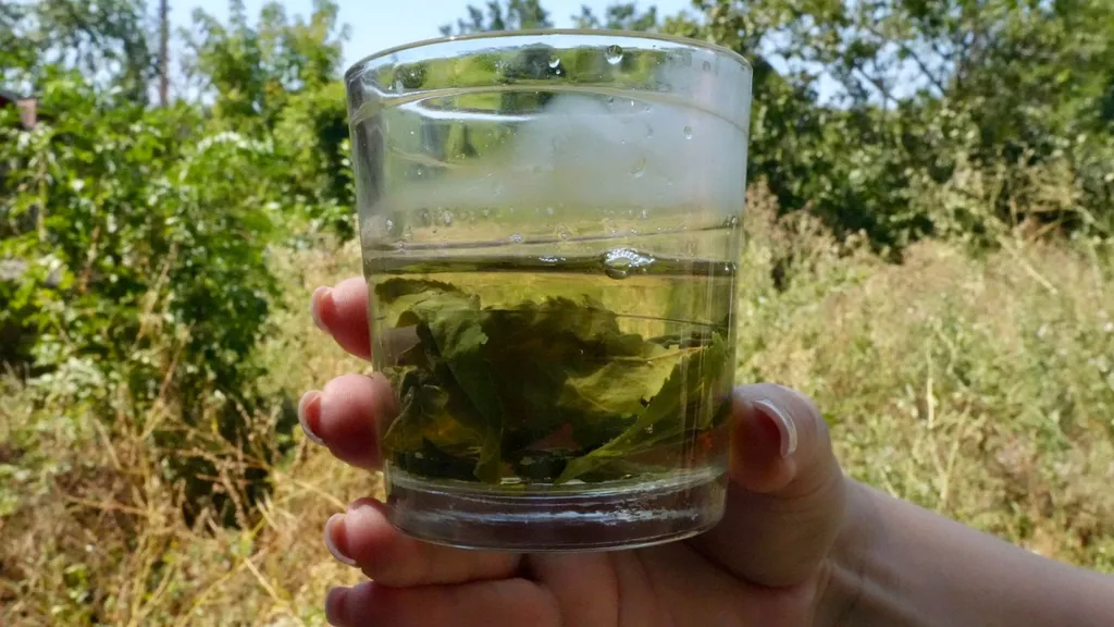 Уютный домик, рынок озеро комсомольский парк