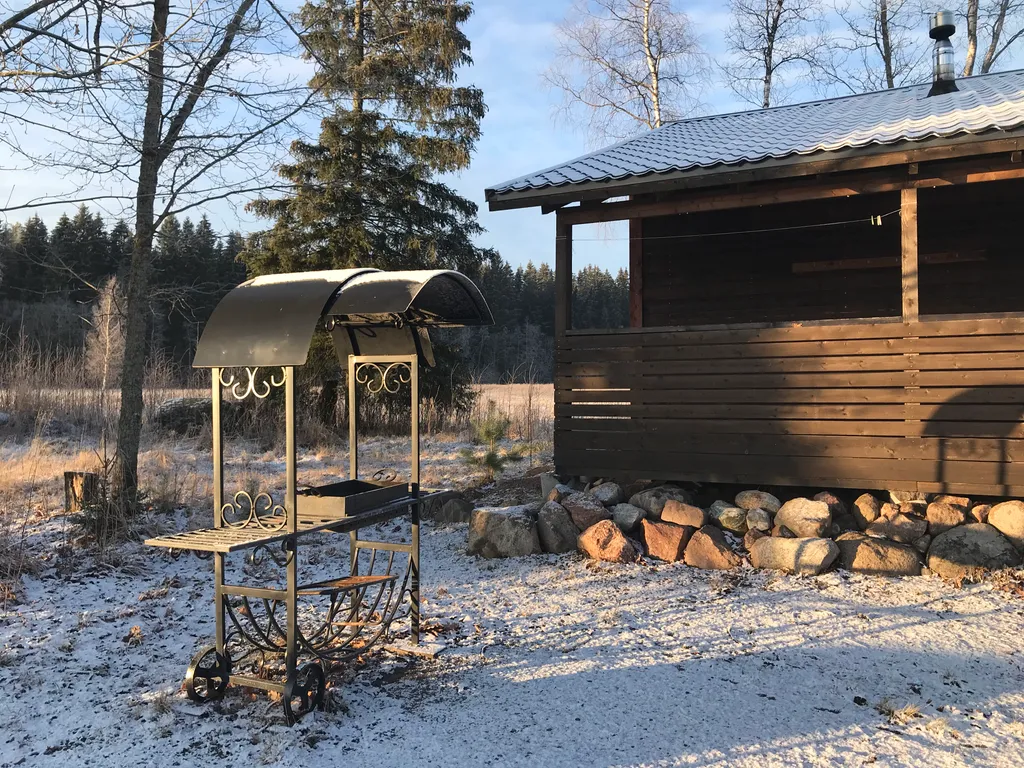 Загородный дом в лесу вблизи залива
