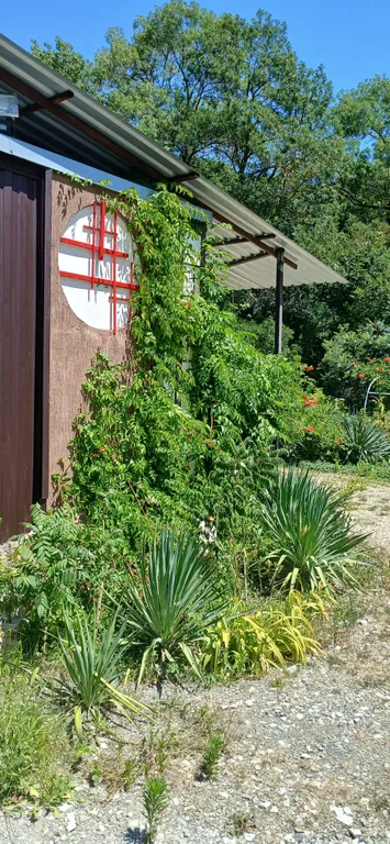 Дача Светлана