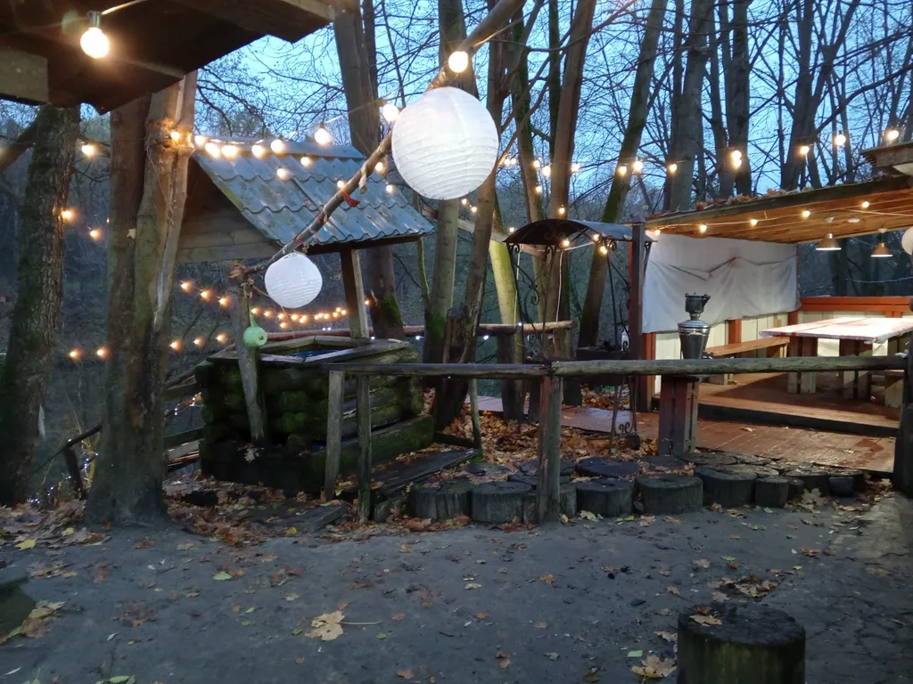 Новый год с русской баней на дровах