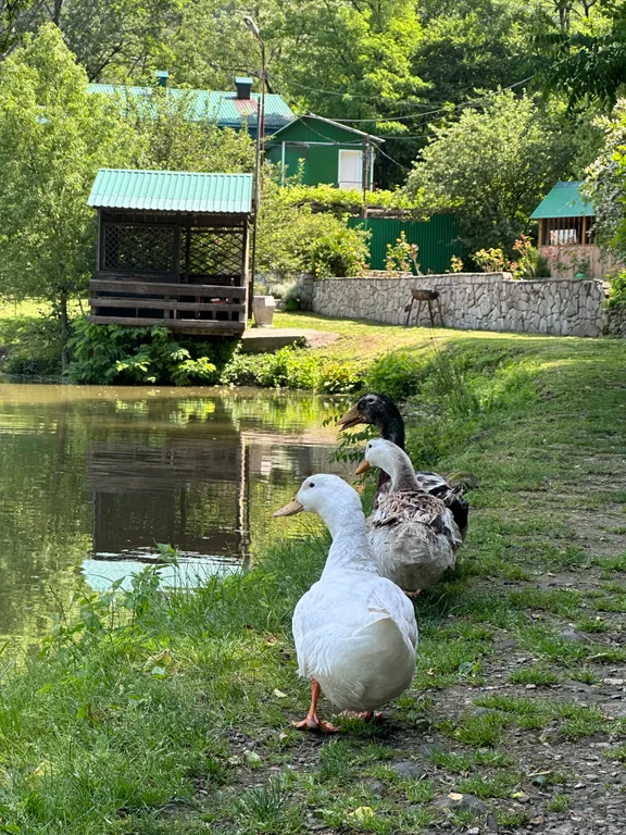 Дом у озера