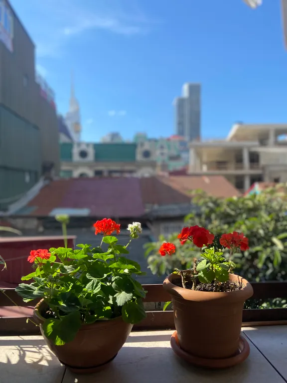 Old house in Old Batumi