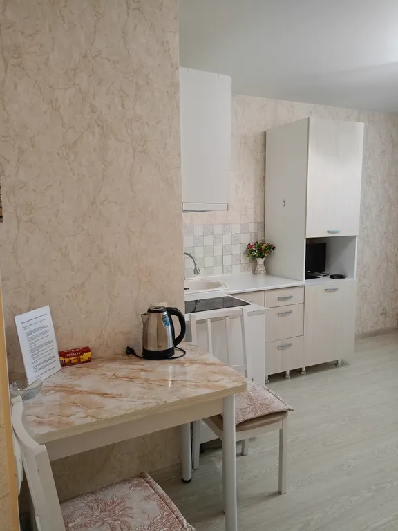 Уютная студия в Новопатрушева