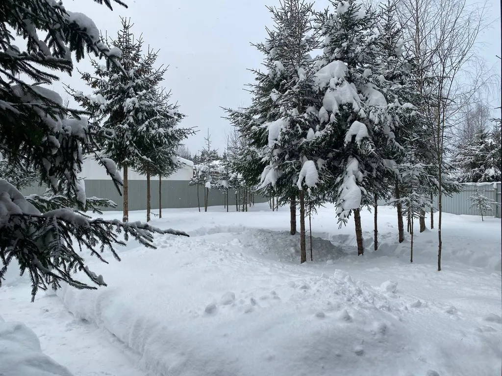 Уютный дом в лесу