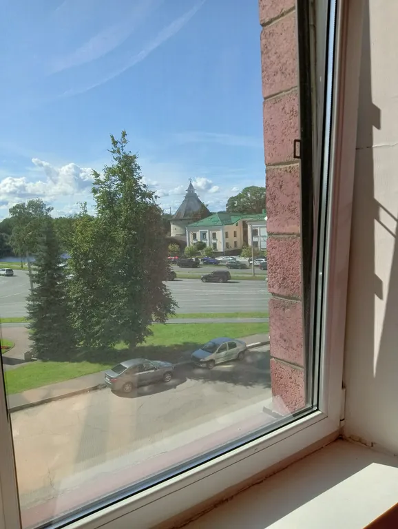 Квартира в центре города с видом на Покровскую башню и реку Великую