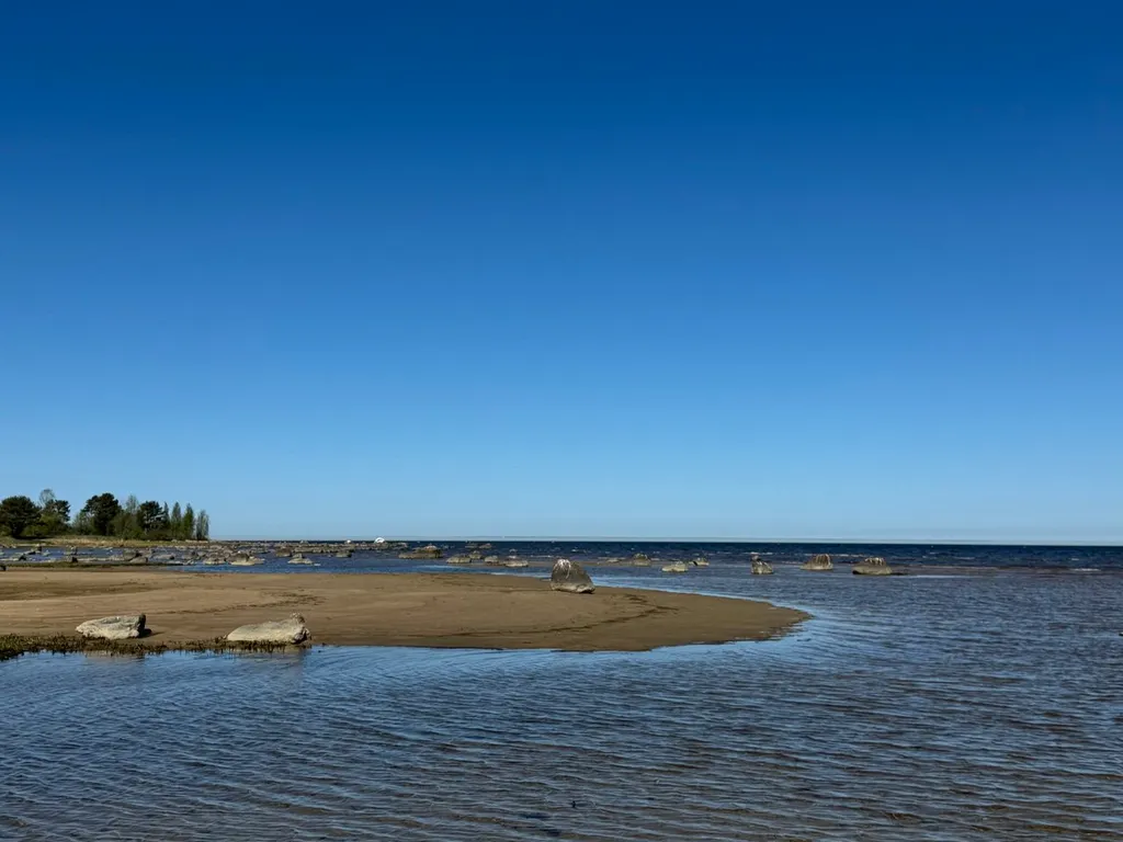 Коттедж Гостевой дом Тень сосны — Санкт-Петербург