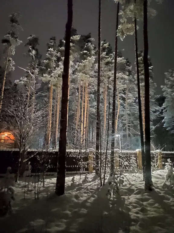 Уютный коттедж в сосновом лесу на берегу Суходольского озера
