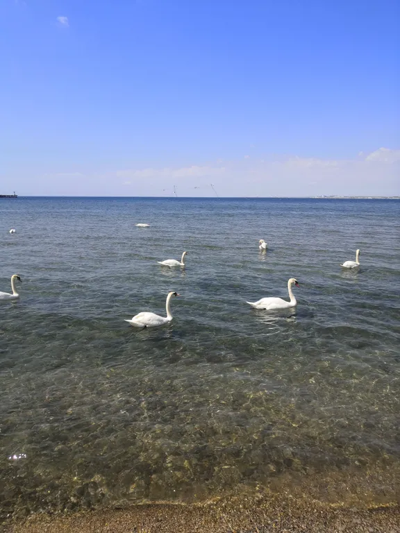 Квартира Квартира Потрясающий вариант для отдыха — Анапа