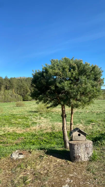 Дом с видом на озеро без соседей