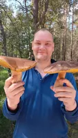 Станислав Радзвилович