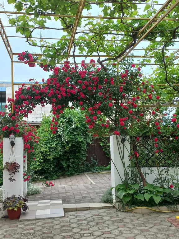 Уютная комната на мансарде с видом на море