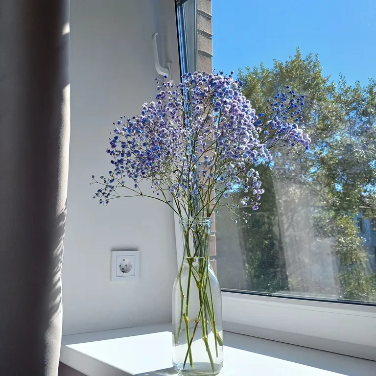 Квартира Квартира Приятная студия в новом жк сердце Ярославля в центре города — Ярославль