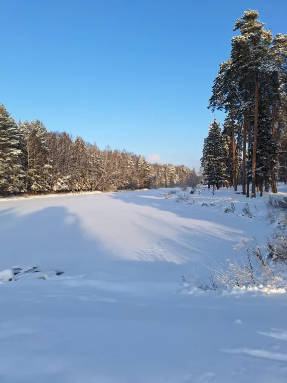 Барнхаус в лесу с голубой гостиной