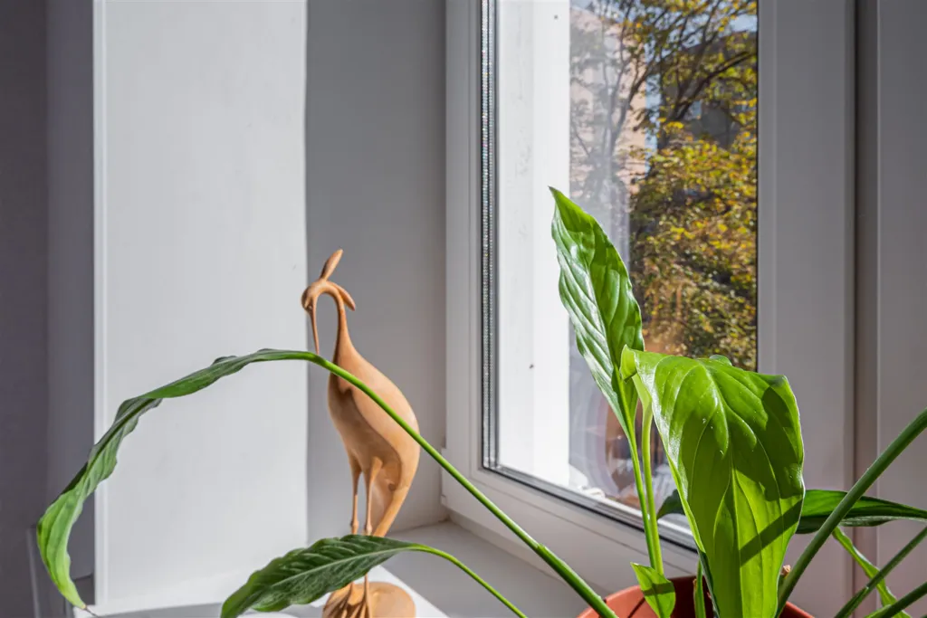 Квартира в центре с видом на лес.