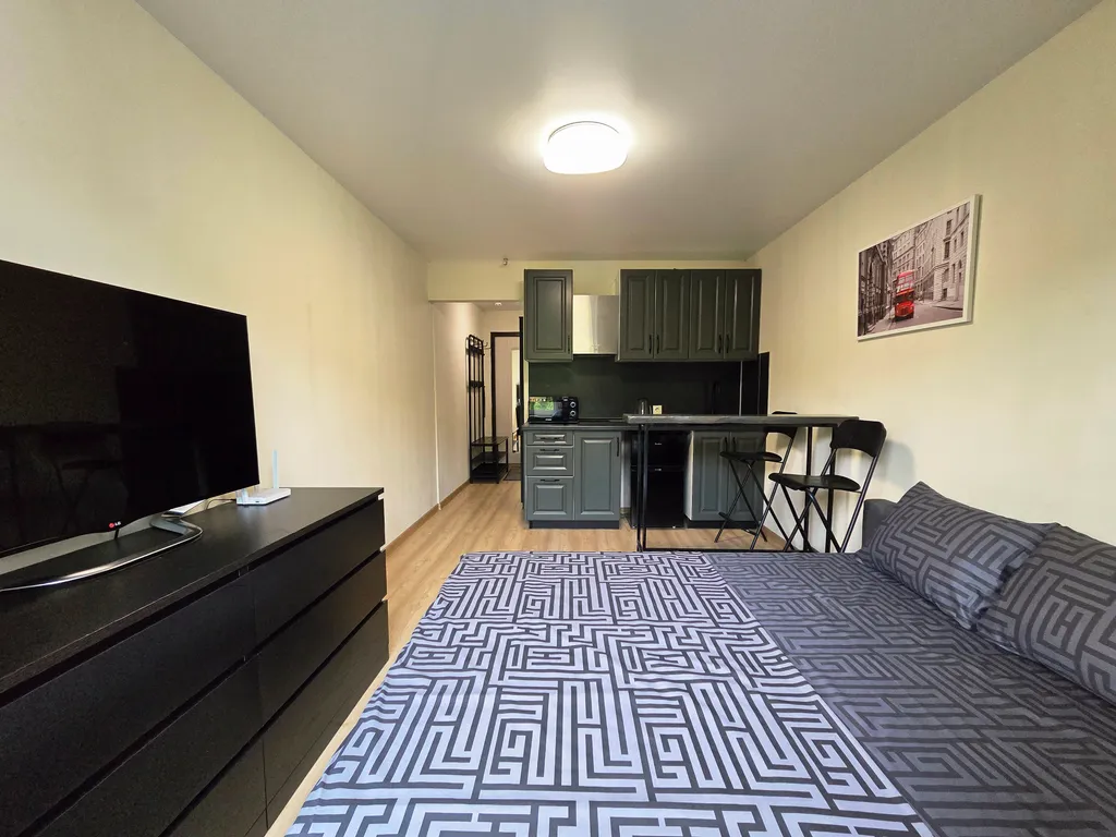 Квартира Квартира Уютная студия с видом на парк Лосиный остров — Москва