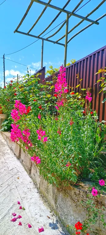 Уютный домик с прекрасными видами вокруг