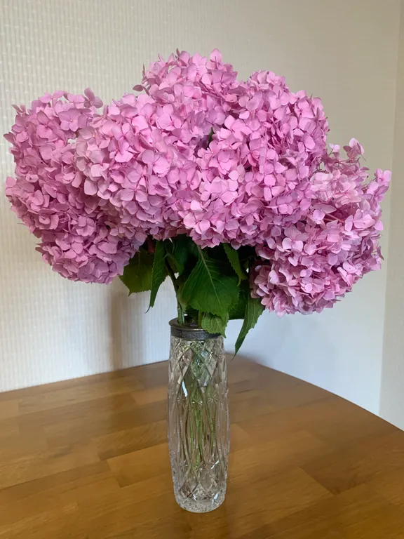 Уют в деревне