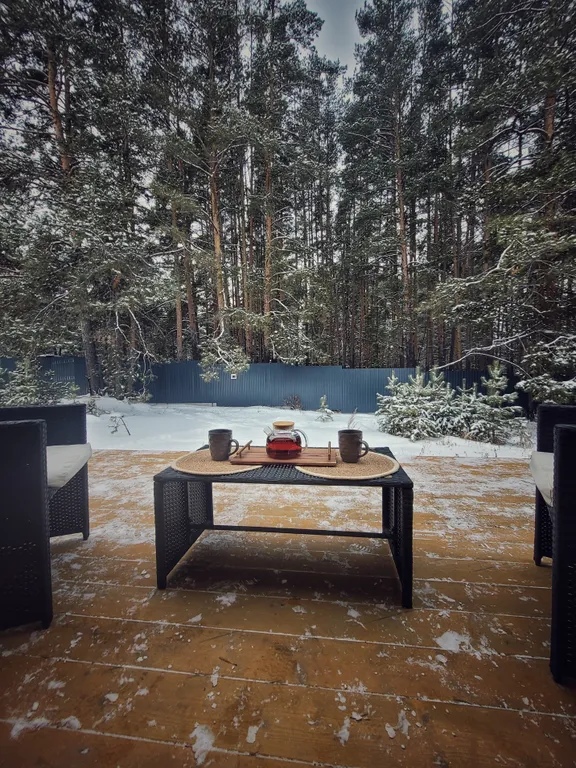 Дом в сосновом лесу