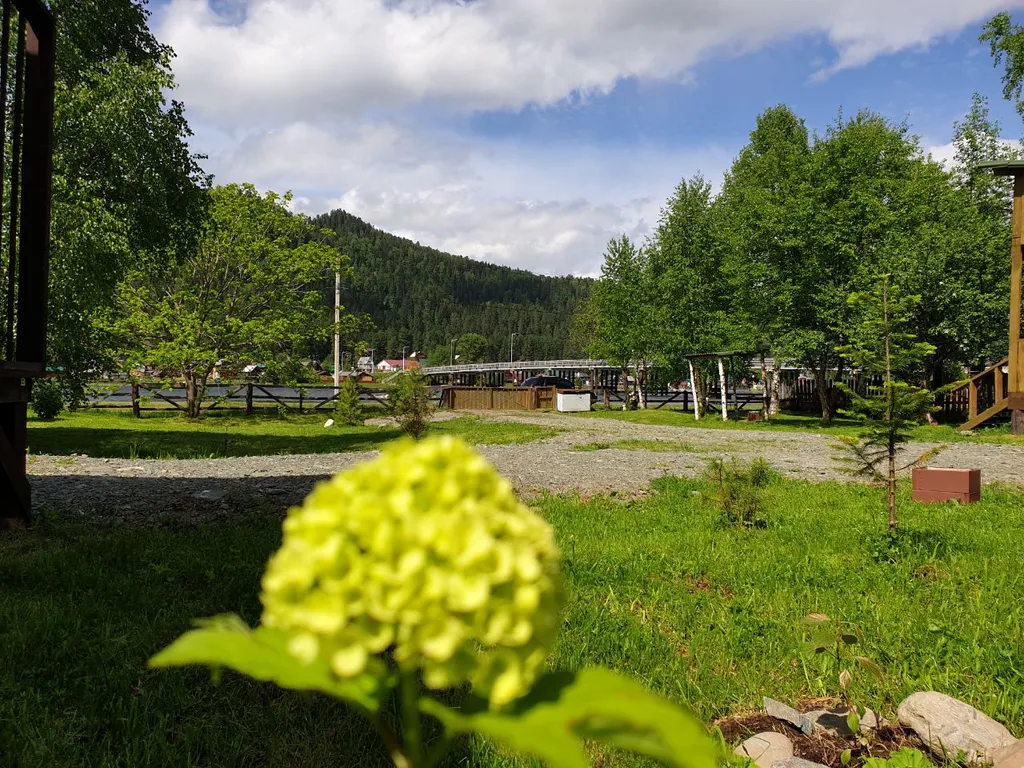 Отдых Телецкое