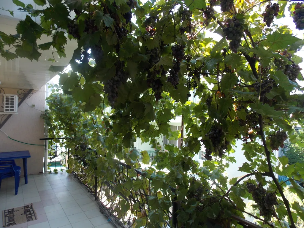 Квартира Лимонная комната — Феодосия