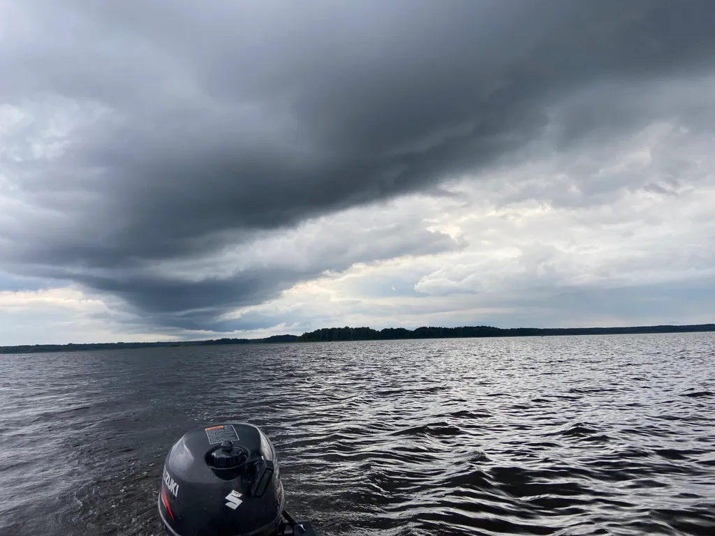 Хижина в лесу на берегу озера без соседей