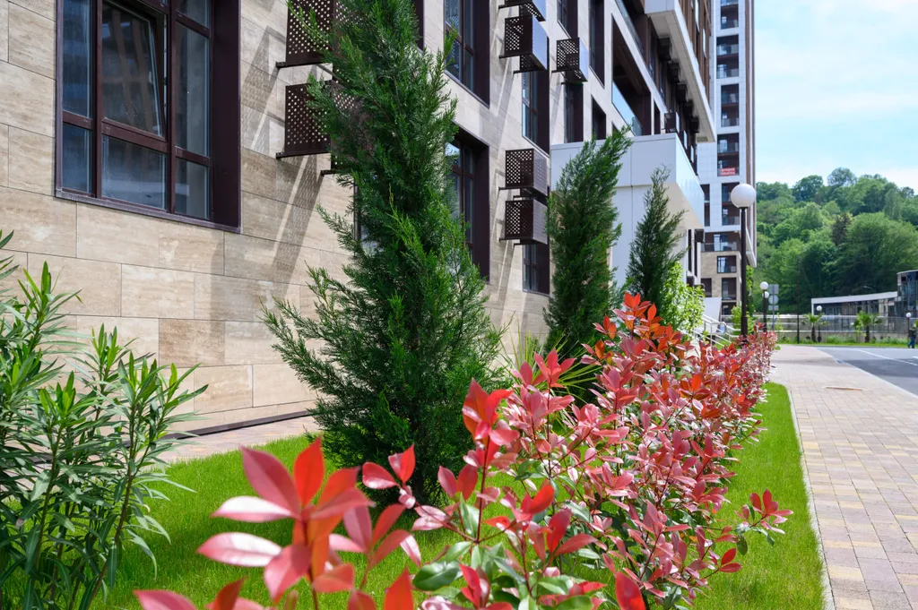 Уютная квартира с видом на горы