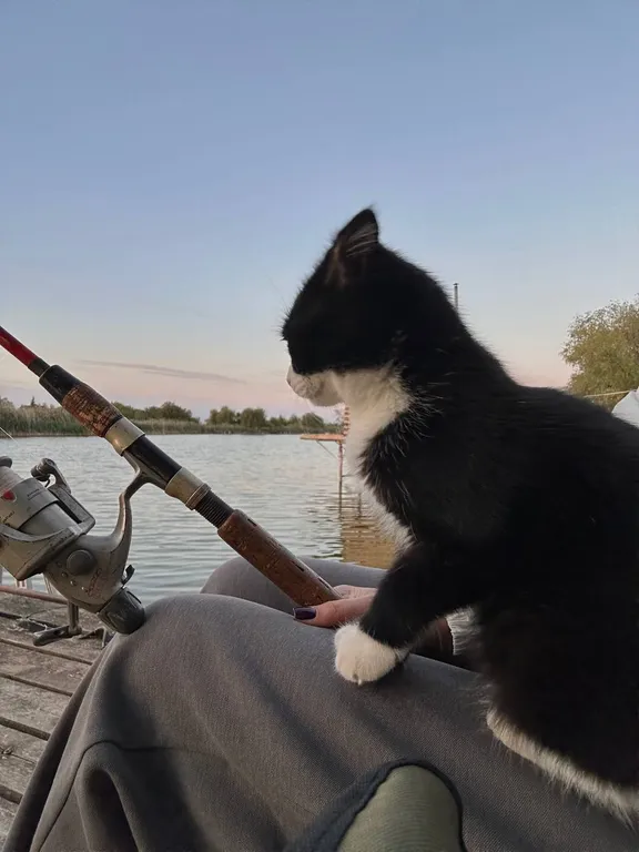 Новый дом-сруб у реки в живописном месте, баня, банный чан, рыбалка
