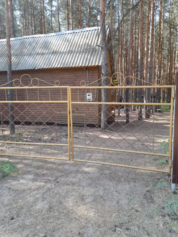 Дом в сосновом лесу