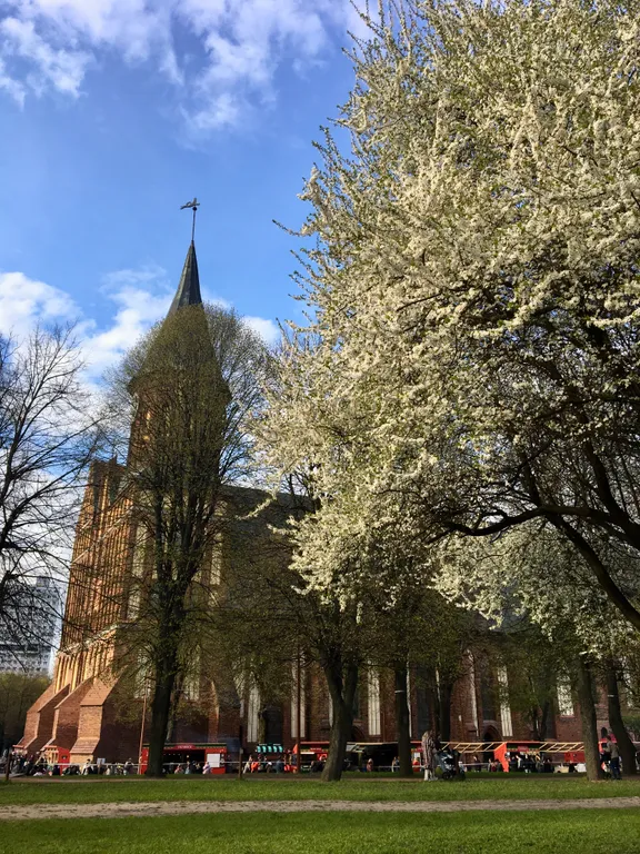 Квартира Квартира Сердце города — Калининград