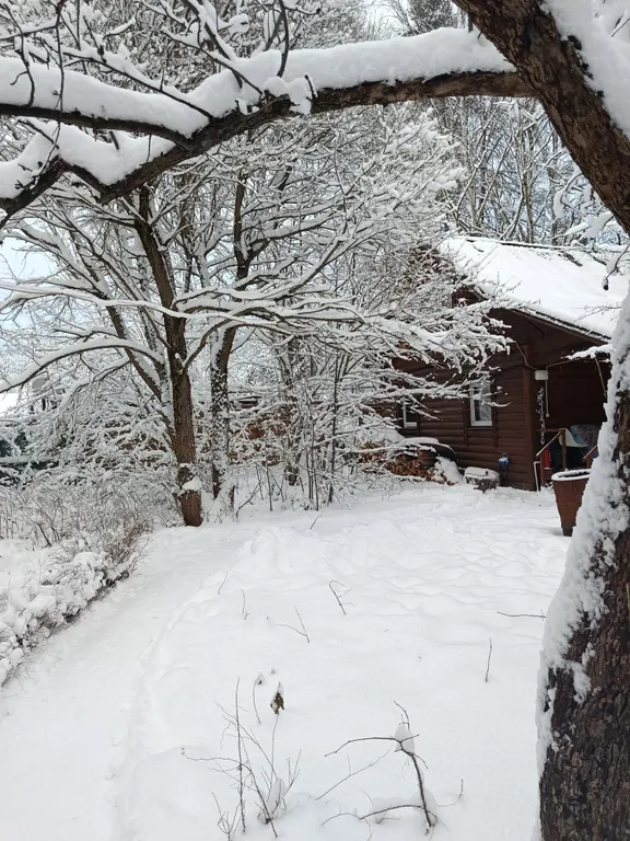 Коттедж Двухэтажный Дом в Саду, баня и чан на дровах за доп.плату. — аренда посуточно в Пушкино