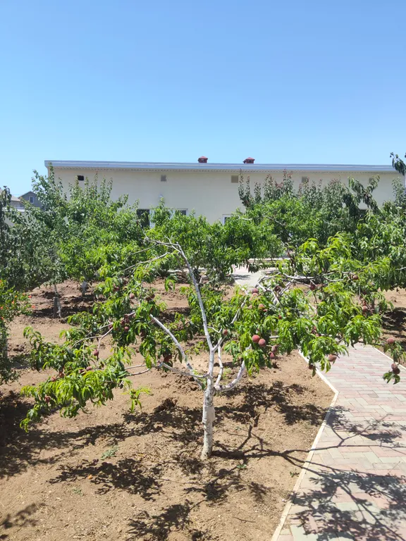 Комфортабельный апартамент с видом на сад