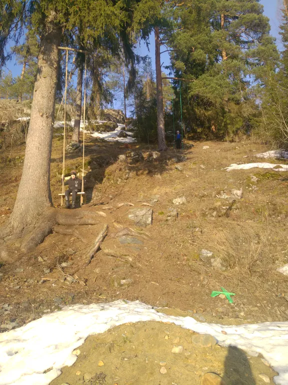 Домик с видом на лес