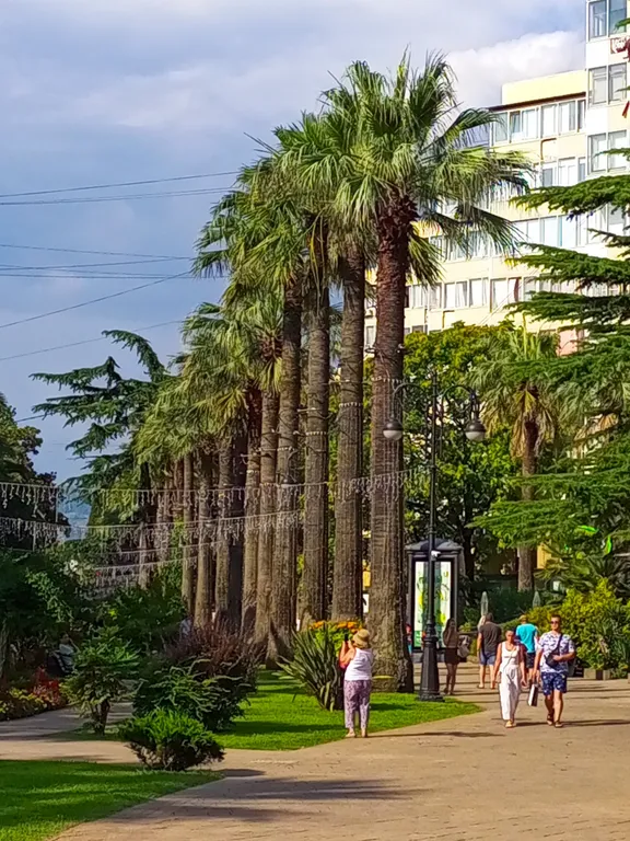 Квартира на главной аллее города