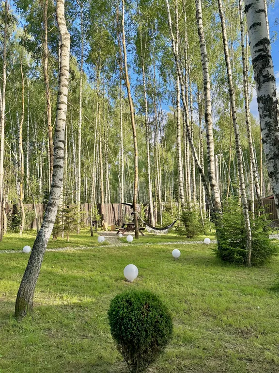 Дом с панорамной сауной, купелью на закрытом лесном участке