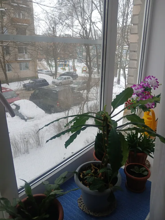 Скромная квартира в тихом районе города