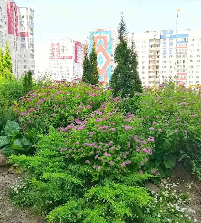 Новые апартаменты с панорамной лоджией