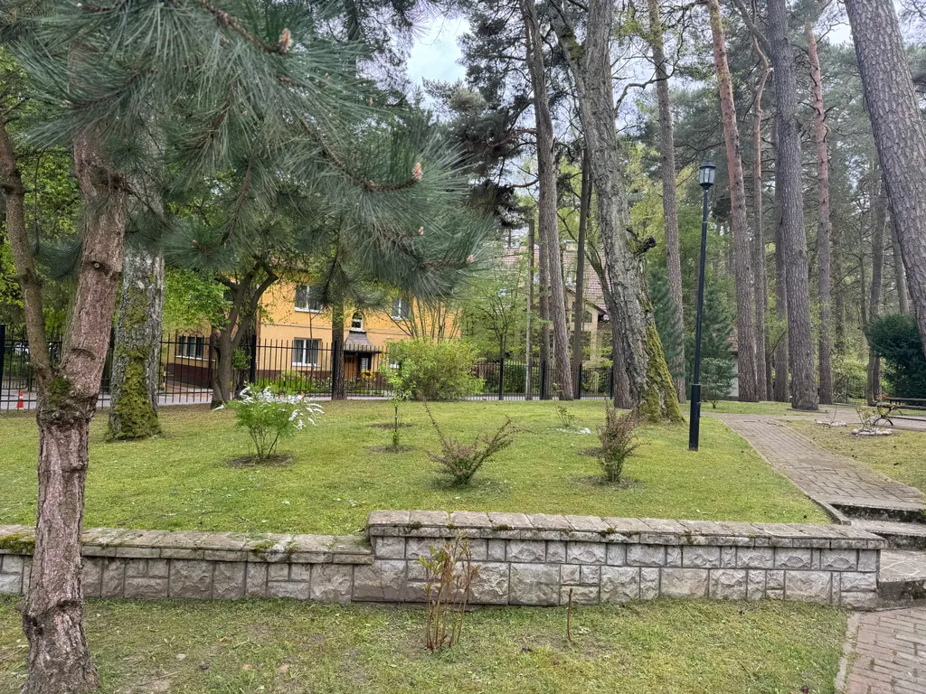 Квартира 3-комнатная Квартира — Светлогорск