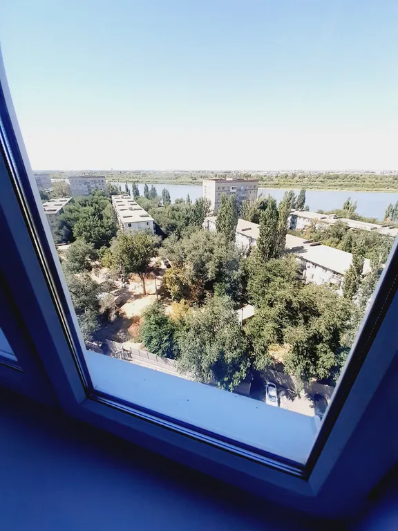 Квартира "тигрица"