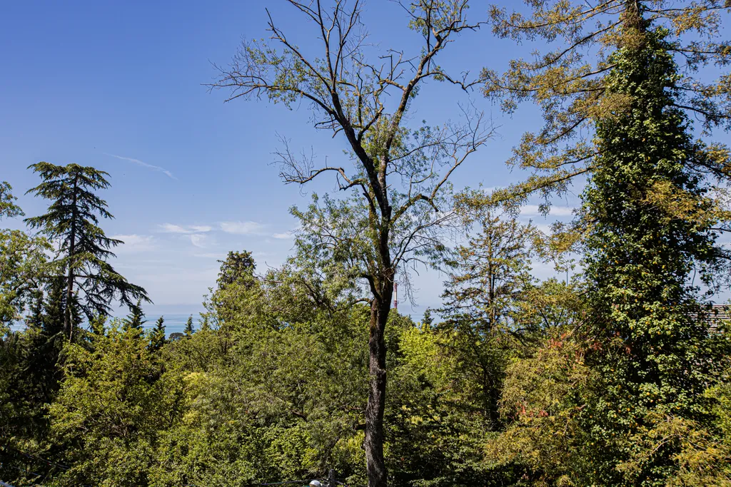 Квартира Квартира у санатория Заполярье с видом на море — Сочи