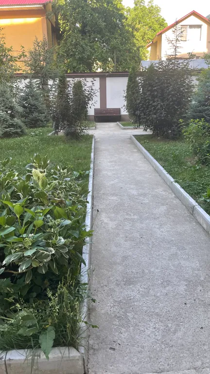 Шикарный вид на озеро и горы