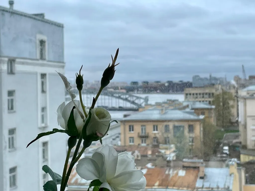 Квартира Квартира на Малоохтинском — Санкт-Петербург