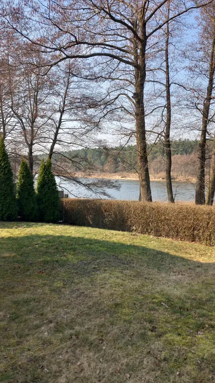 Апартаменты на Немане