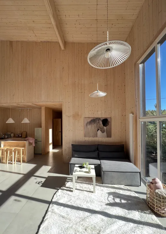 Уютный стильный новый дом с баней в окружении берёзовой рощи