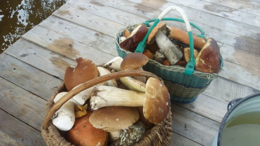 Дом в живописном месте с  видом на реку